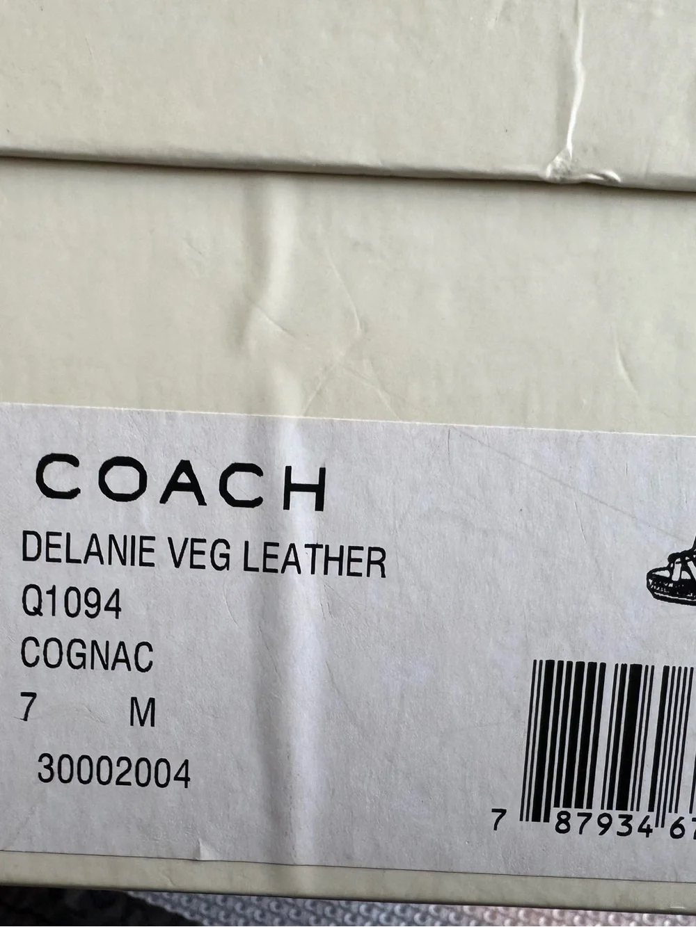 Coach Delanie Veg Leather Shoes - Cognac